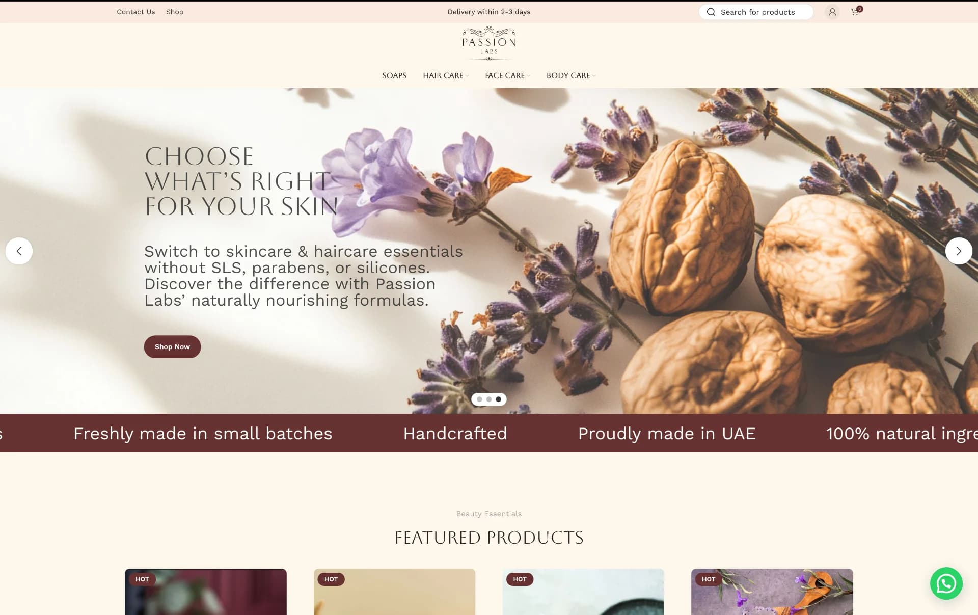 Passion Labs website preview